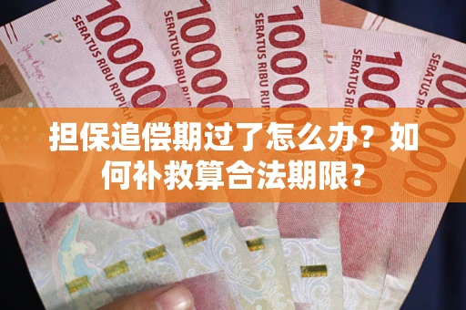 济南担保追偿期过了怎么办？如何补救算合法期限？
